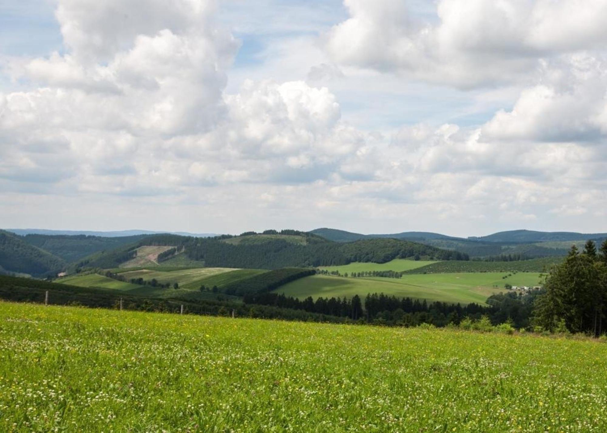 Ferienhaus Grenzweg Winterberg Kültér fotó